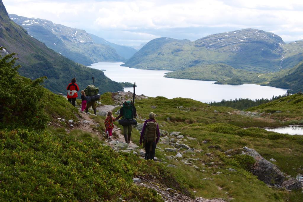 Skysstasjonen Cottages Røldal Eksteriør bilde