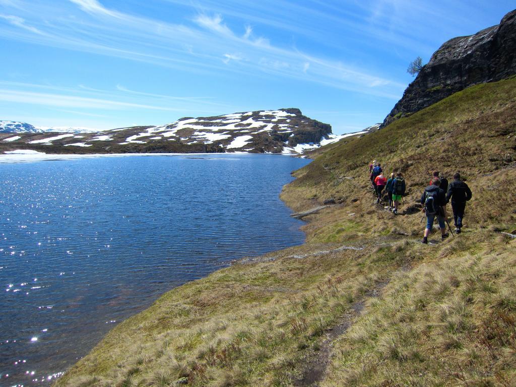 Skysstasjonen Cottages Røldal Eksteriør bilde